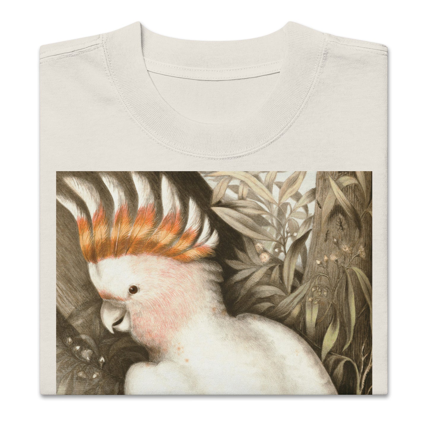 Vintage Drawing, Australian Cockatoo - Oversized T-Shirt